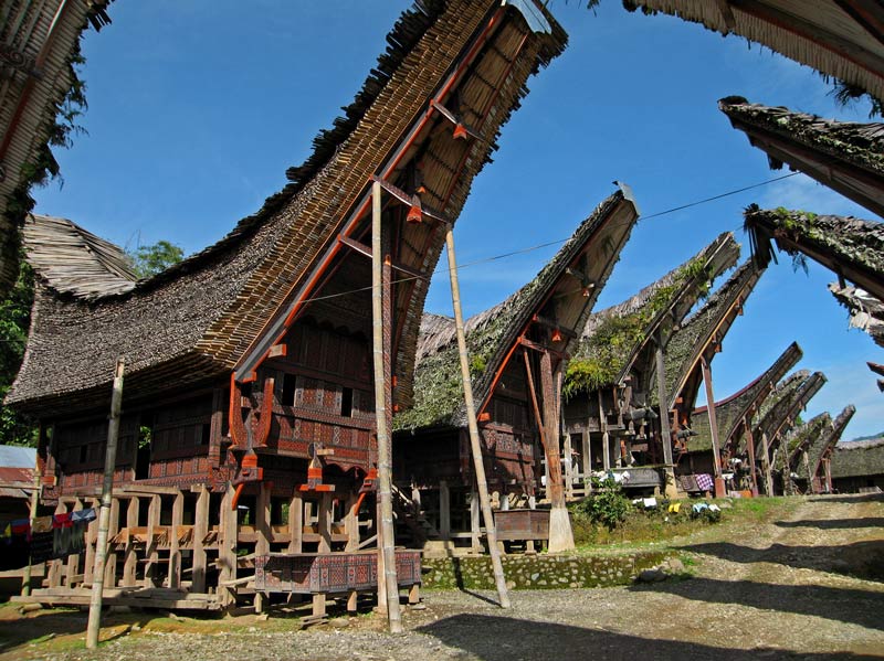 Download this Tongkonan Rumah Adat Toraja Arsitektur picture